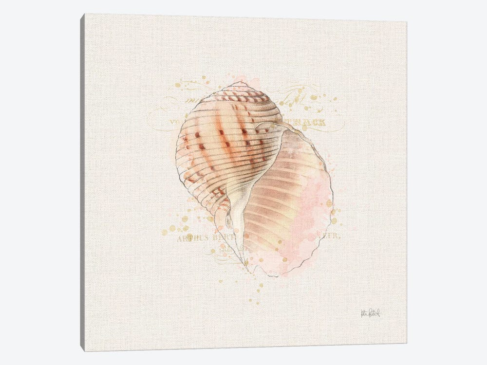Shell Collector V by Katie Pertiet 1-piece Art Print