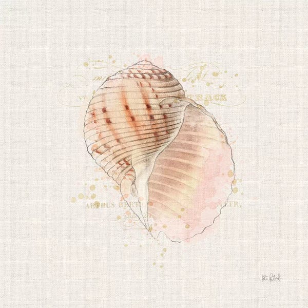 Sea Shells: Shell Collector V by Katie Pertiet