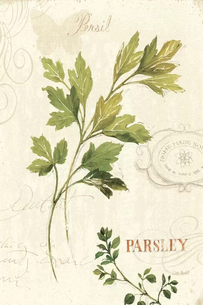 Botanical Illustrations: Aromatique I by Lisa Audit