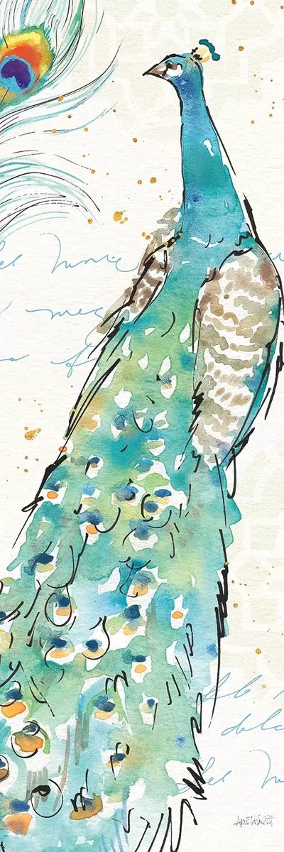 Peacock Garden III by Anne Tavoletti canvas print