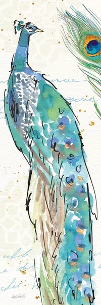 Peacocks: Peacock Garden IV by Anne Tavoletti