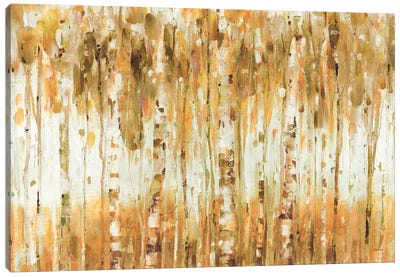 The Forest I (Autumn) Canvas Art Print - Lisa Audit