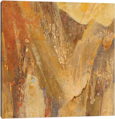 Canyon III.A Canvas Art Print - Albena Hristova