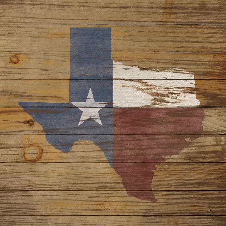 Lone Star by Sarah Adams wall art