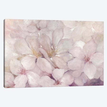 Apple Blossoms Canvas Print #WAC6783} by Julia Purinton Canvas Print