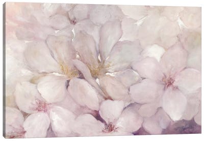 Apple Blossoms Canvas Art Print - Apple Trees