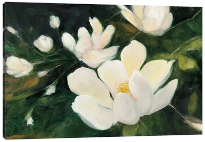 Magnolia Blooms In Zoom Canvas Art Print - Nature Close-Up Art