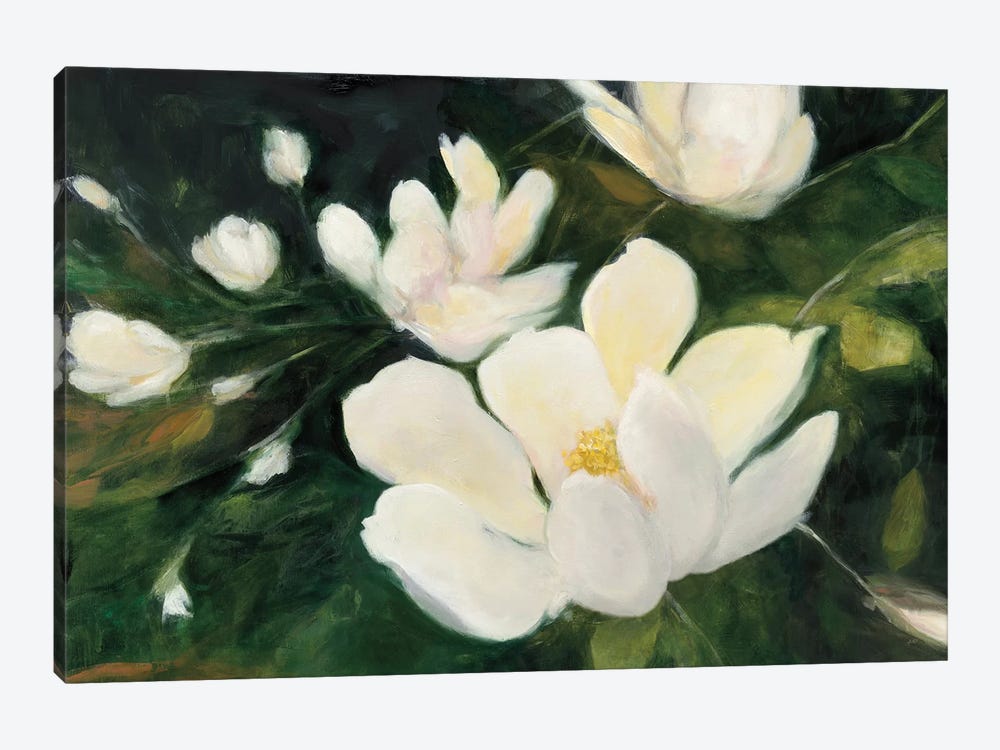 Magnolia Blooms In Zoom by Julia Purinton 1-piece Canvas Print