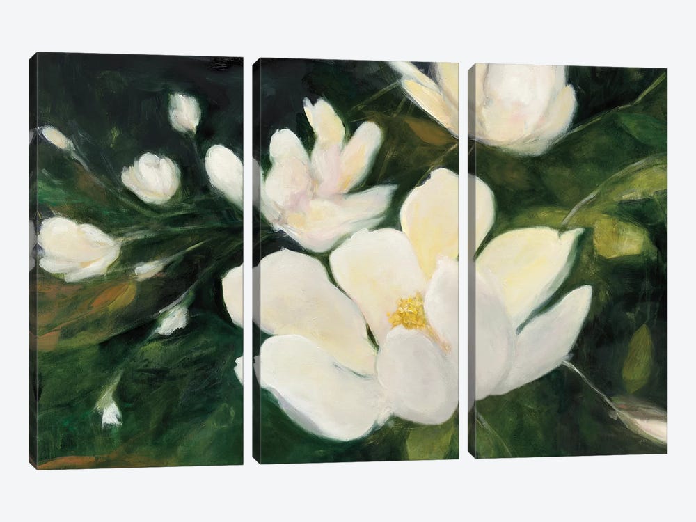 Magnolia Blooms In Zoom by Julia Purinton 3-piece Art Print