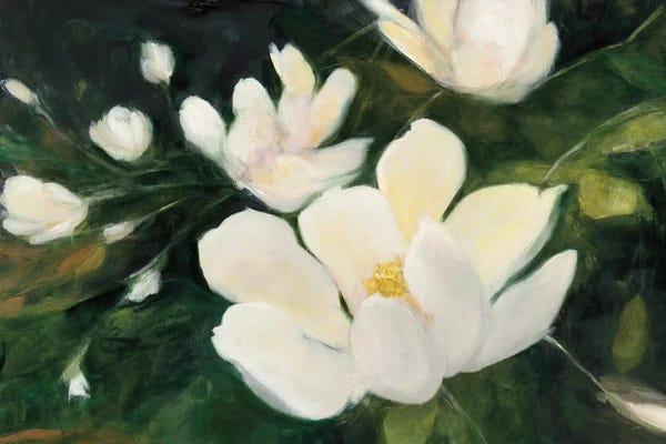 Floral Close-Ups: Magnolia Blooms In Zoom by Julia Purinton