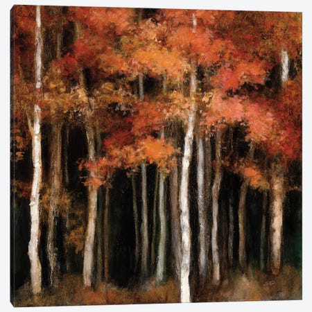 October Woods Canvas Print #WAC6789} by Julia Purinton Canvas Print