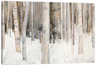 Warm Winter Light III Canvas Art Print - Forest Art