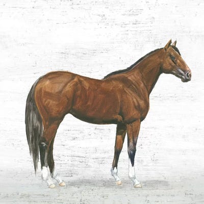 Natural Charm I by Emily Adams canvas print