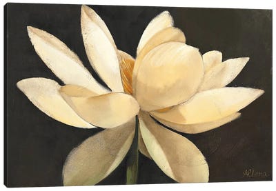 Unfolding Canvas Art Print - Magnolia Art