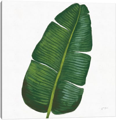 Welcome To Paradise XV Canvas Art Print - Tropical Leaf Art