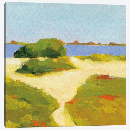 Path To The Beach Canvas Print #WAC6939} by Phyllis Adams Canvas Artwork