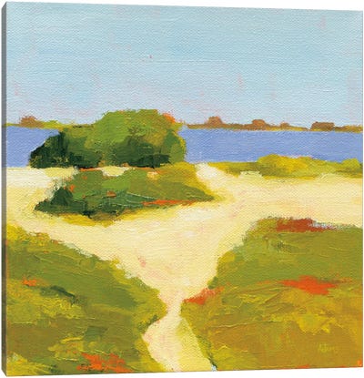Path To The Beach Canvas Art Print