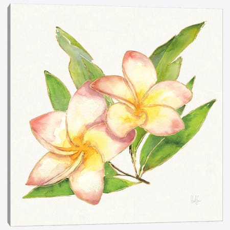 Tropical Fun Flowers I Canvas Print #WAC6951} by Harriet Sussman Canvas Artwork