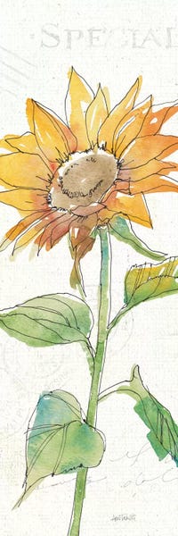 Sunflowers: Tuscan Elegance VI by Anne Tavoletti