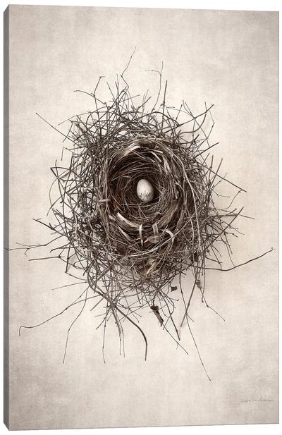 Nest I Canvas Art Print - Monster Art