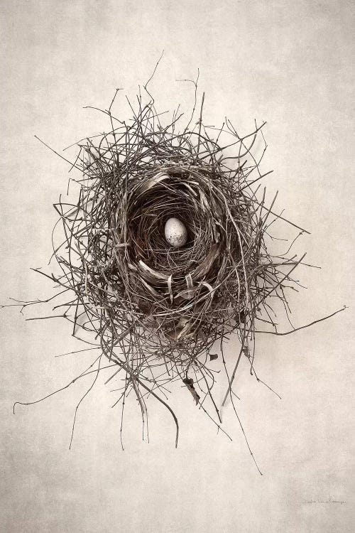 Nest I