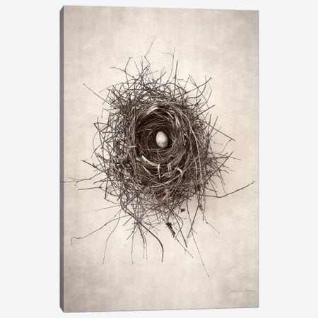 Nest I Canvas Print #WAC7031} by Debra Van Swearingen Canvas Artwork