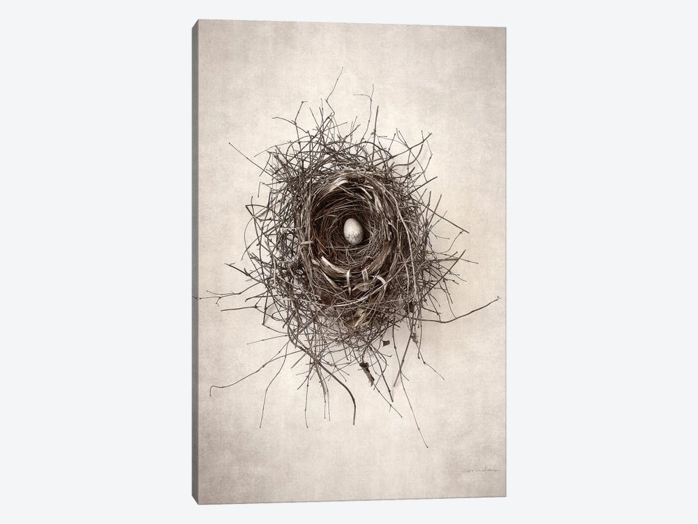 Nest I by Debra Van Swearingen 1-piece Canvas Artwork