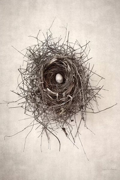 Debra Van Swearingen: Nest I by Debra Van Swearingen