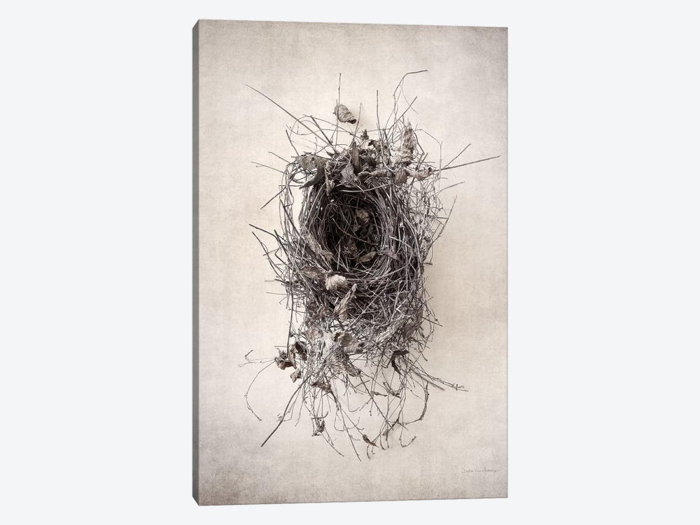 Nest II by Debra Van Swearingen 1-piece Canvas Print