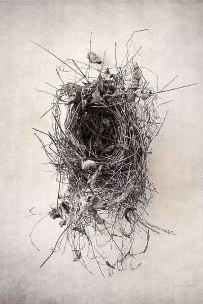 Sepia Photography: Nest II by Debra Van Swearingen