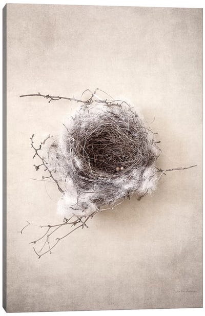 Nest III Canvas Art Print - Debra Van Swearingen