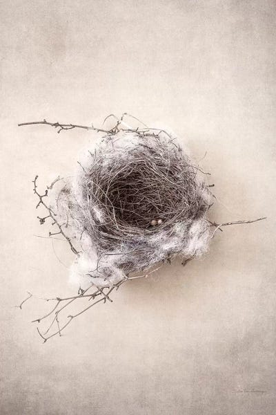 Sepia Photography: Nest III by Debra Van Swearingen