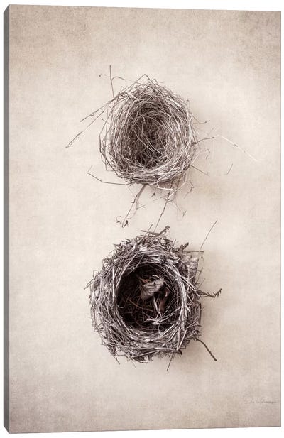 Nest IV Canvas Art Print - Debra Van Swearingen