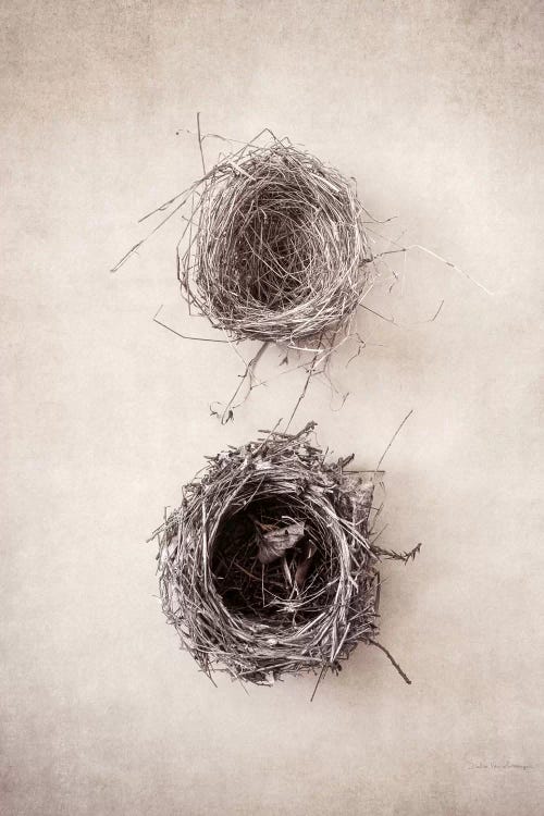 Nest IV