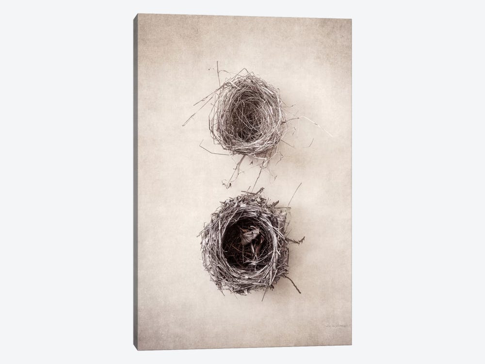 Nest IV by Debra Van Swearingen 1-piece Canvas Print