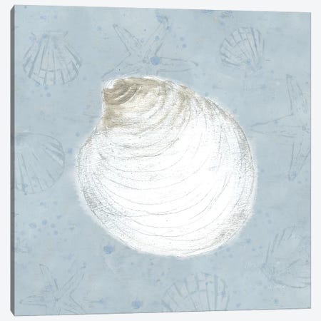 Serene Shells II Canvas Print #WAC7039} by James Wiens Canvas Wall Art