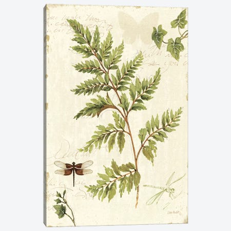 Ivies and Ferns I Canvas Print #WAC704} by Lisa Audit Canvas Art