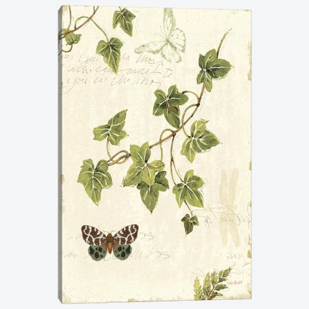 Ivies and Ferns II Canvas Print #WAC705} by Lisa Audit Canvas Art