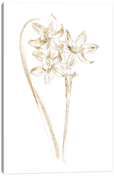 Gilded Botanical IV Canvas Art Print