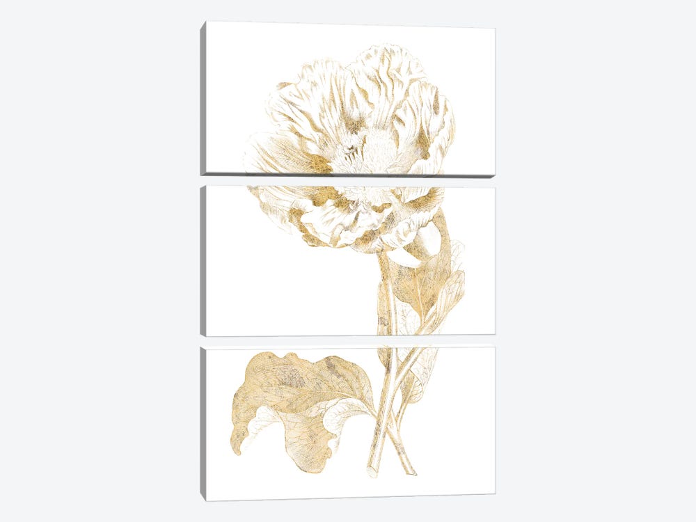 Gilded Botanical VII by Wild Apple Portfolio 3-piece Canvas Artwork