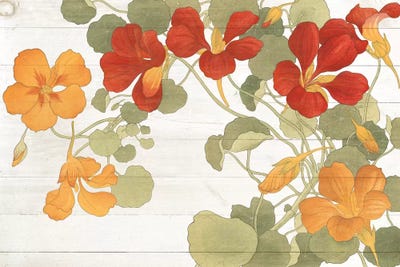 Summer Nasturtiums Cottage by Wild Apple Portfolio multi panel art