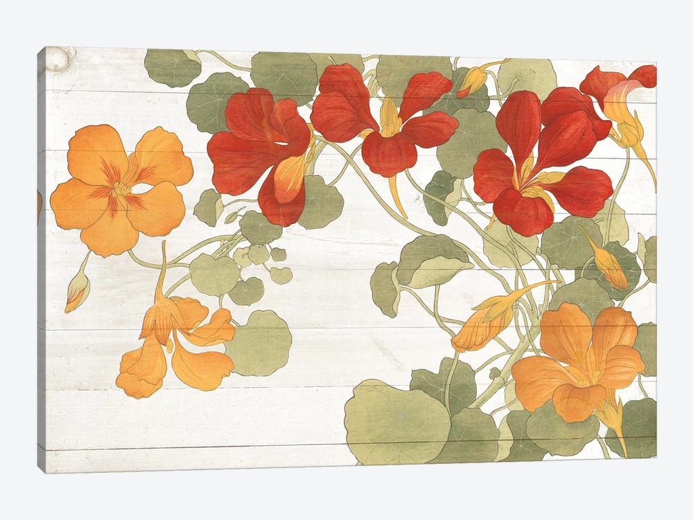 Summer Nasturtiums Cottage by Wild Apple Portfolio 1-piece Canvas Print