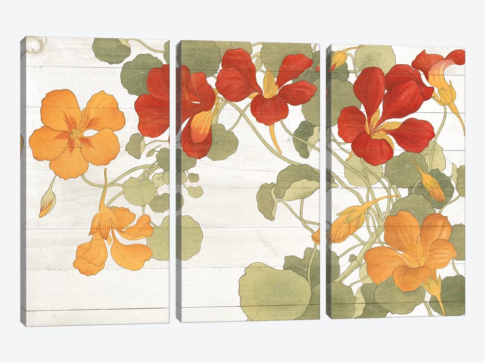 Summer Nasturtiums Cottage by Wild Apple Portfolio 3-piece Art Print