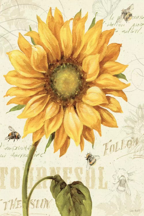 Under the Sun I by Lisa Audit wall art
