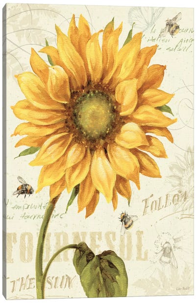 Under the Sun I Canvas Art Print - Bee Art