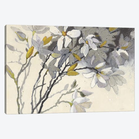 Magnolias Canvas Print #WAC7090} by Shirley Novak Canvas Artwork