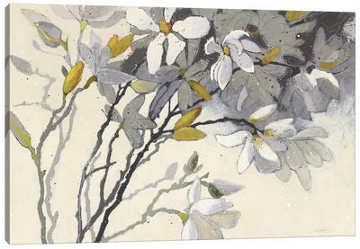 Magnolias Canvas Art Print - Shirley Novak