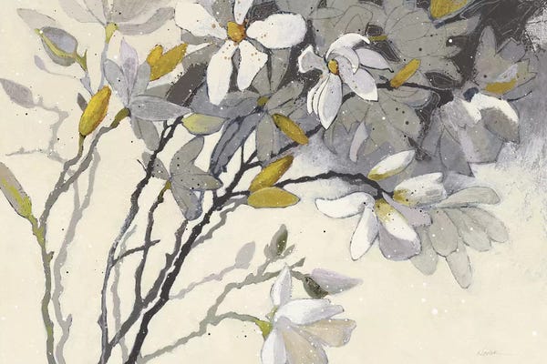 Magnolias: Magnolias by Shirley Novak