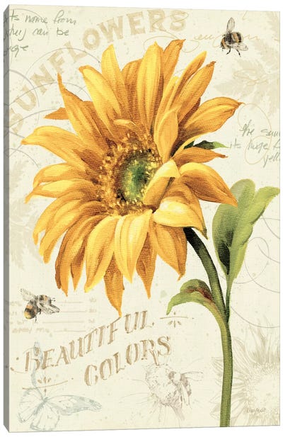 Under the Sun II Canvas Art Print - Sunflower Art
