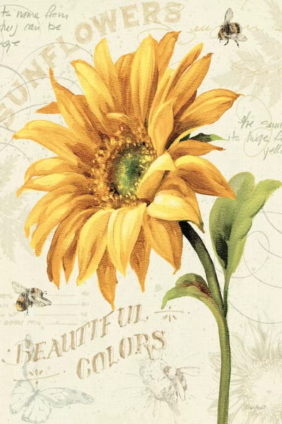 Bees: Under the Sun II by Lisa Audit